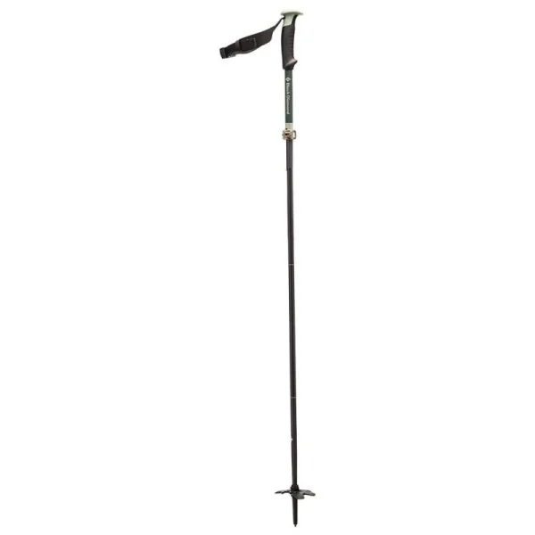 Black Diamond Compactor Ski Poles 1