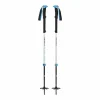 shopping pas cher Sortie 🎉 Black Diamond Expedition 2 Pro Ski Poles – Bâtons ski 🔔 16