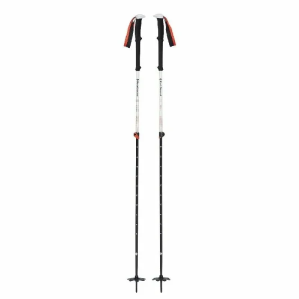 Le moins cher ✔️ Black Diamond Expedition 2 Ski Poles – Bâtons ski 🔥 Les achats en ligne 3